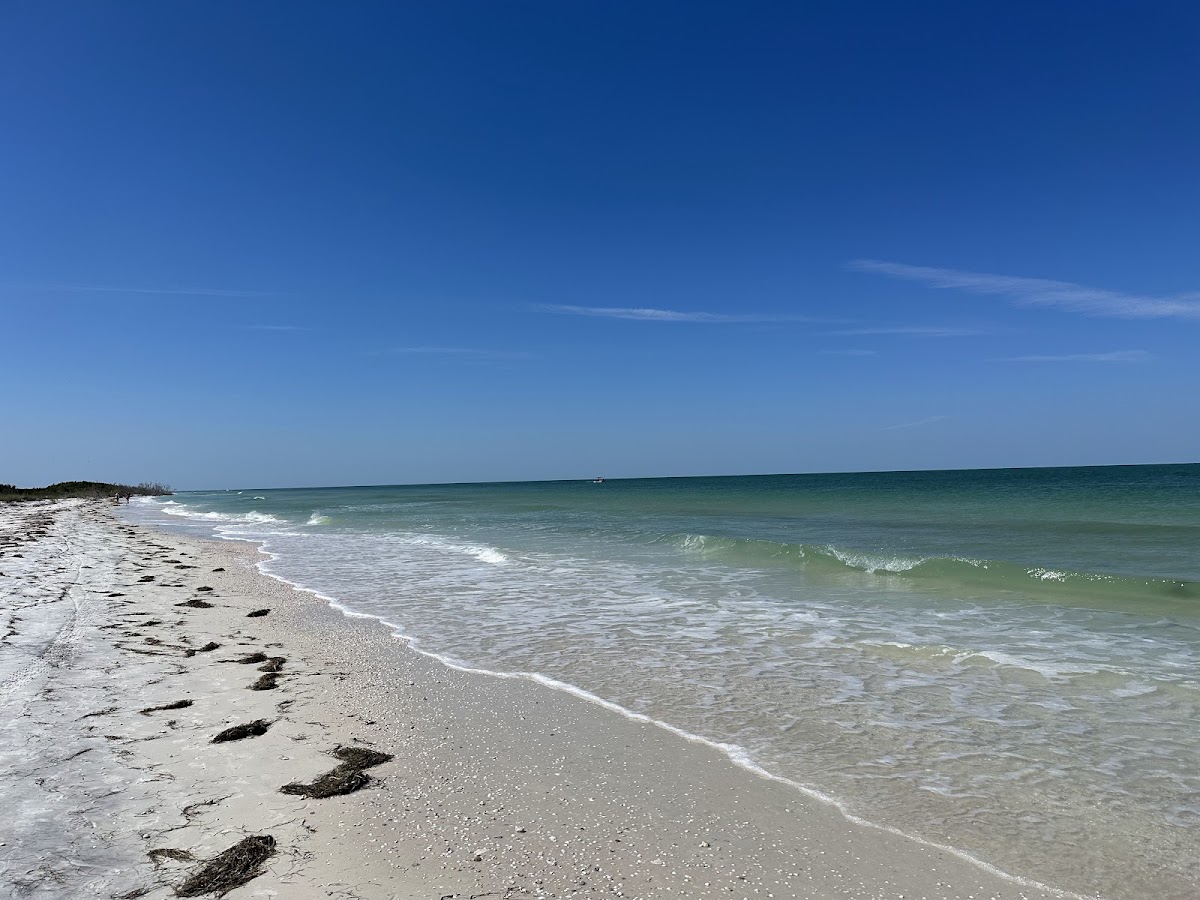 Honeymoon Island State Park