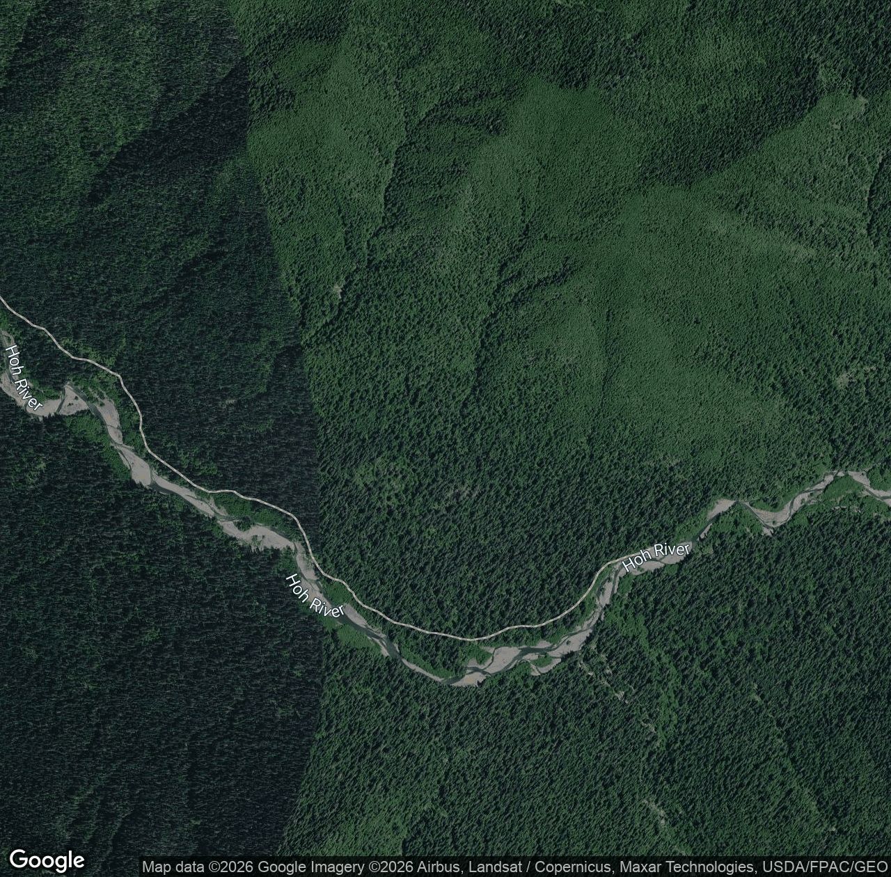 South Fork Hoh River Trail