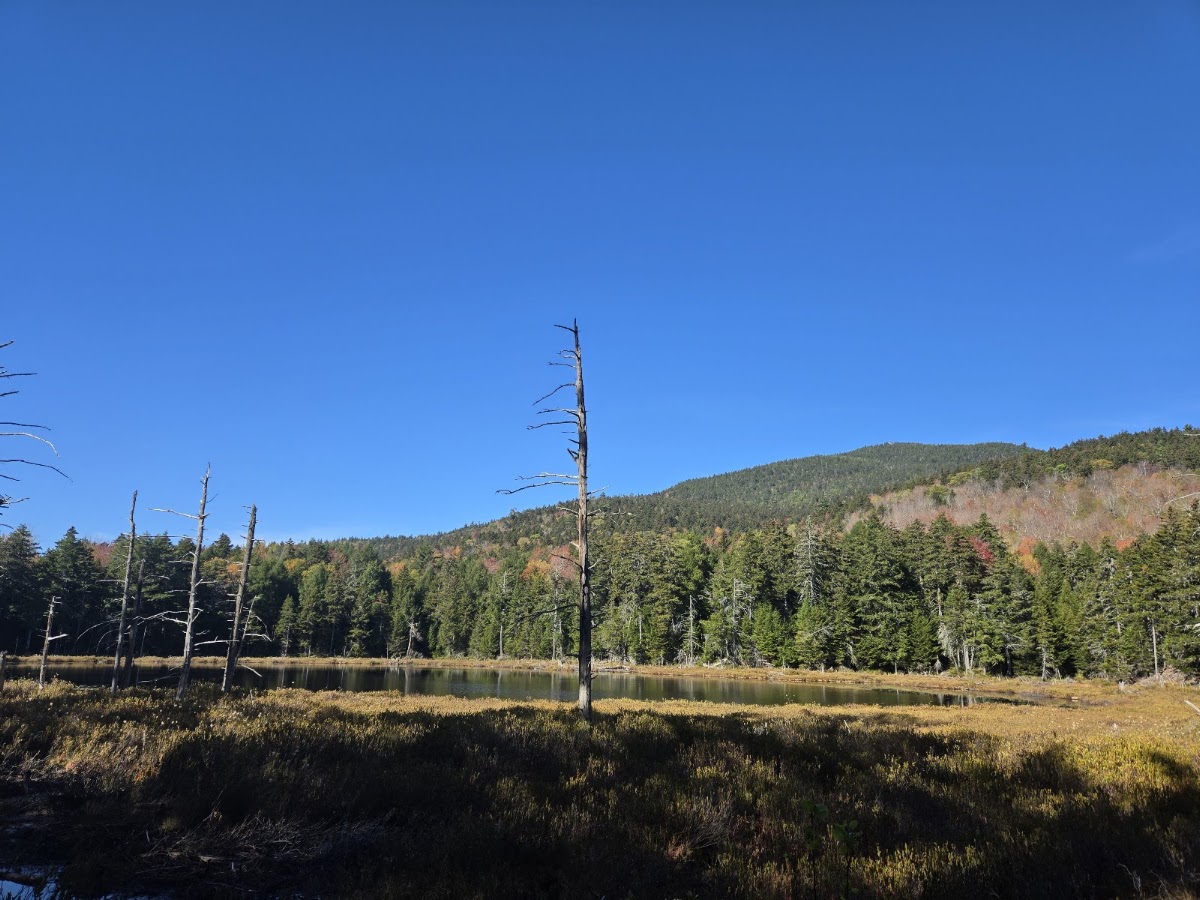 Weeks Brook Trail