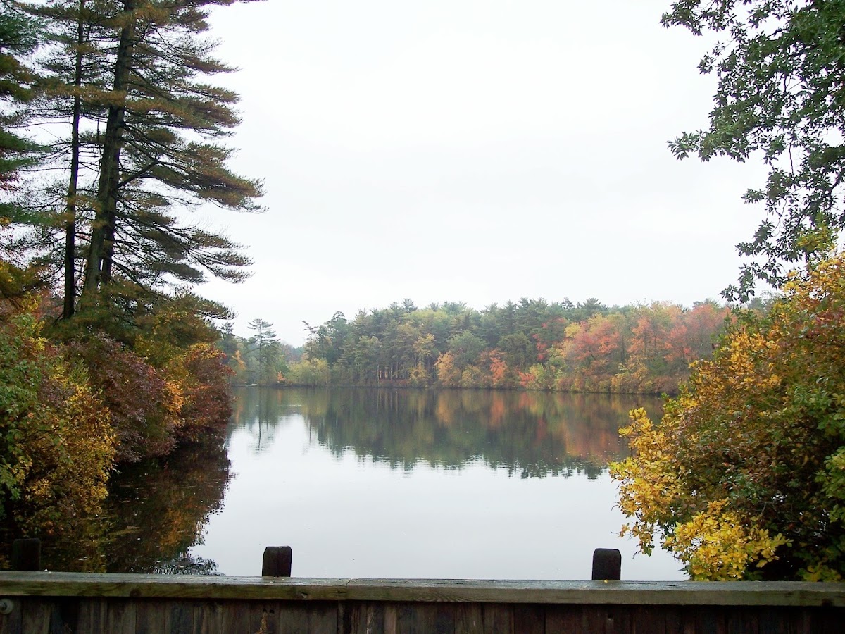 Ocean County Park No. 1