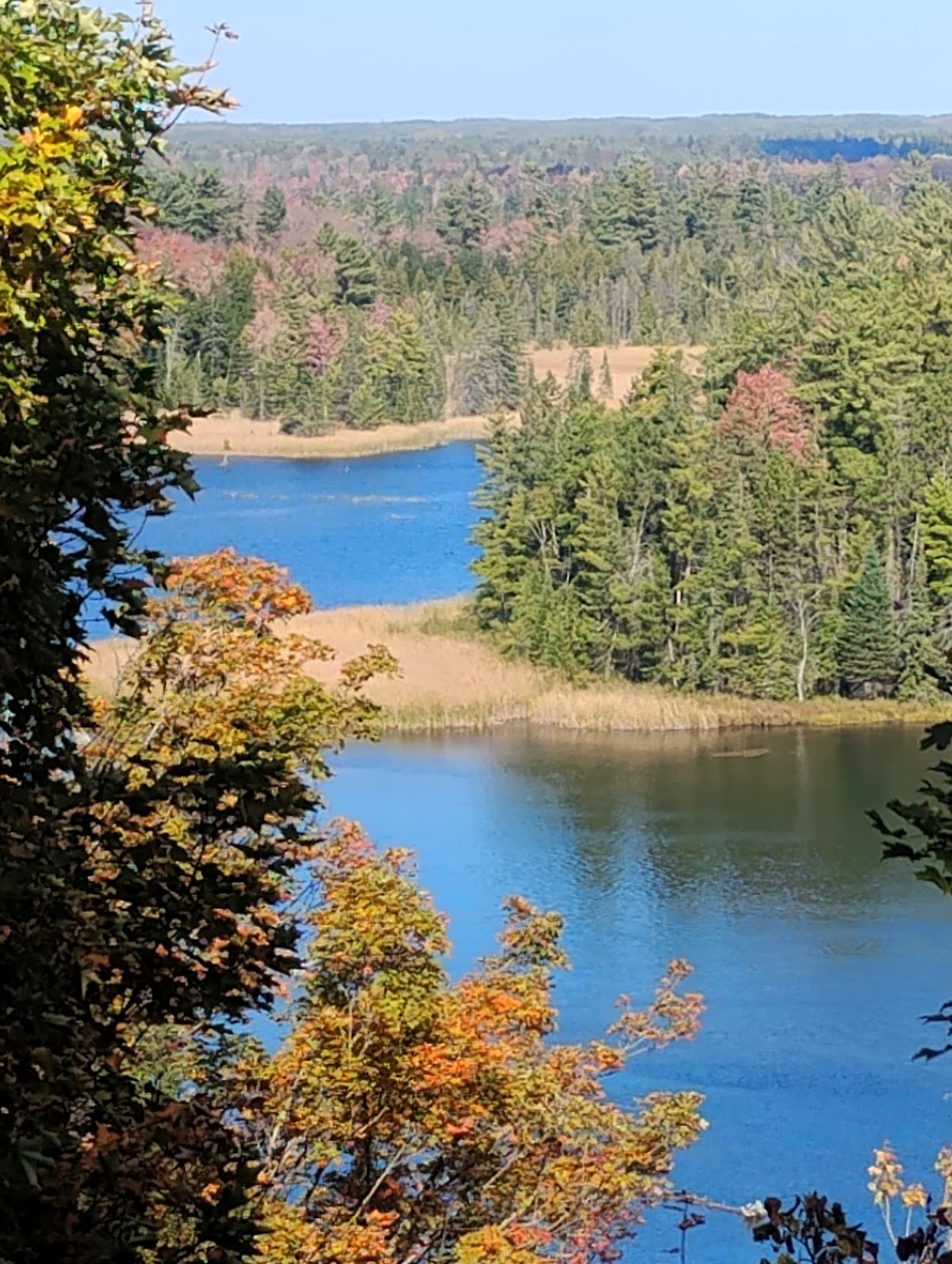 Loud Dam Pond