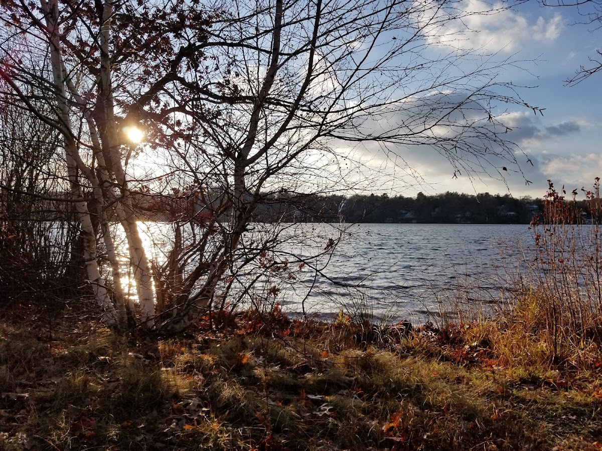 Billington Sea