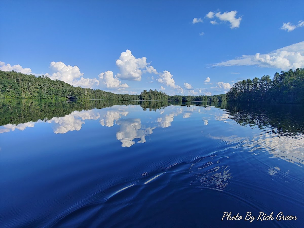 Brooks Pond