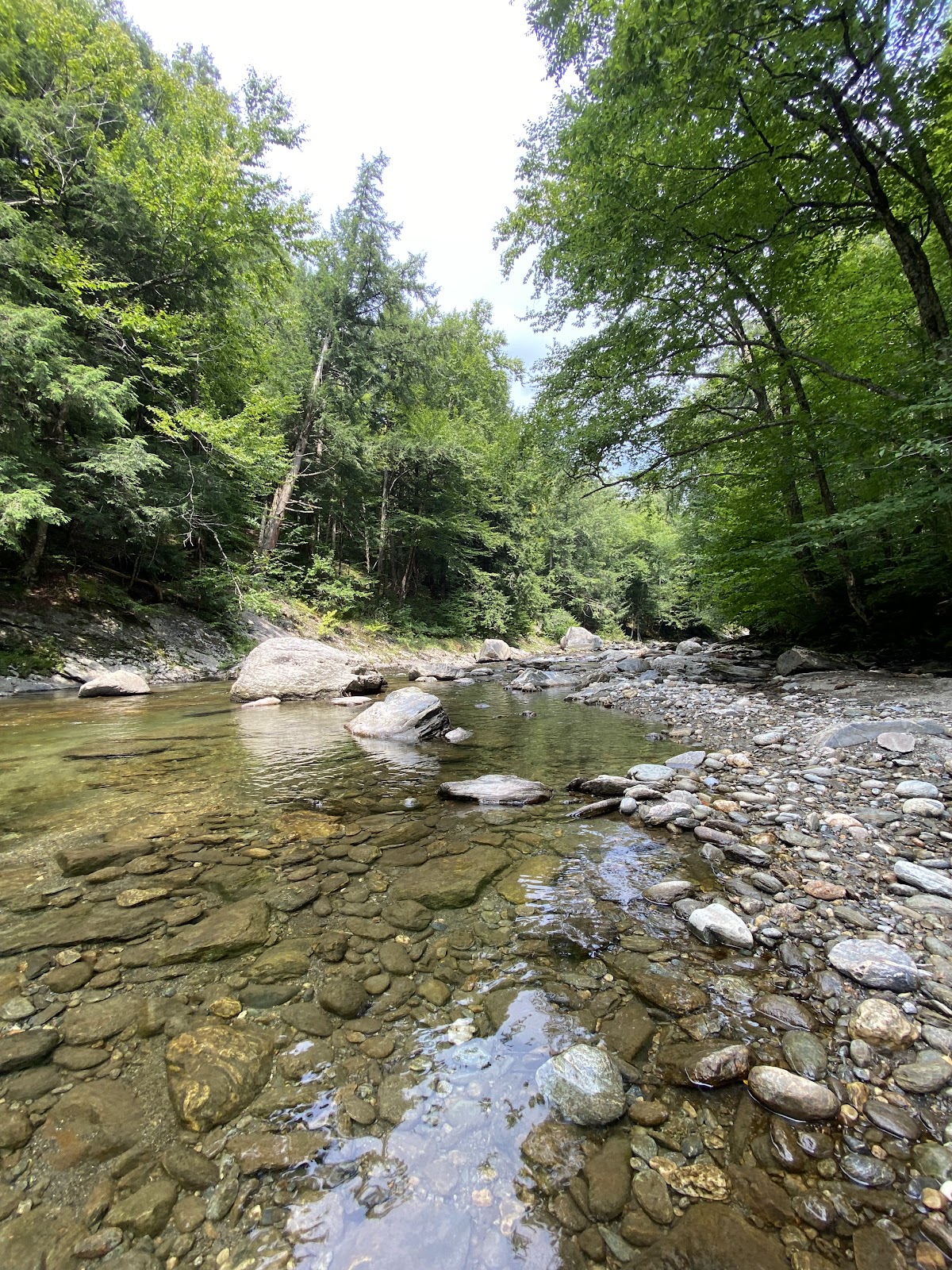 Trout River