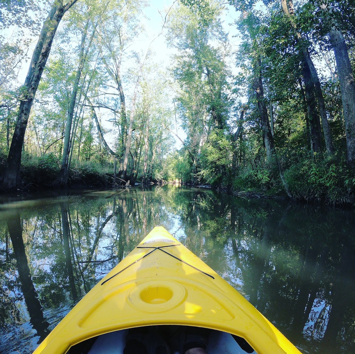 East Arm Little Calumet River