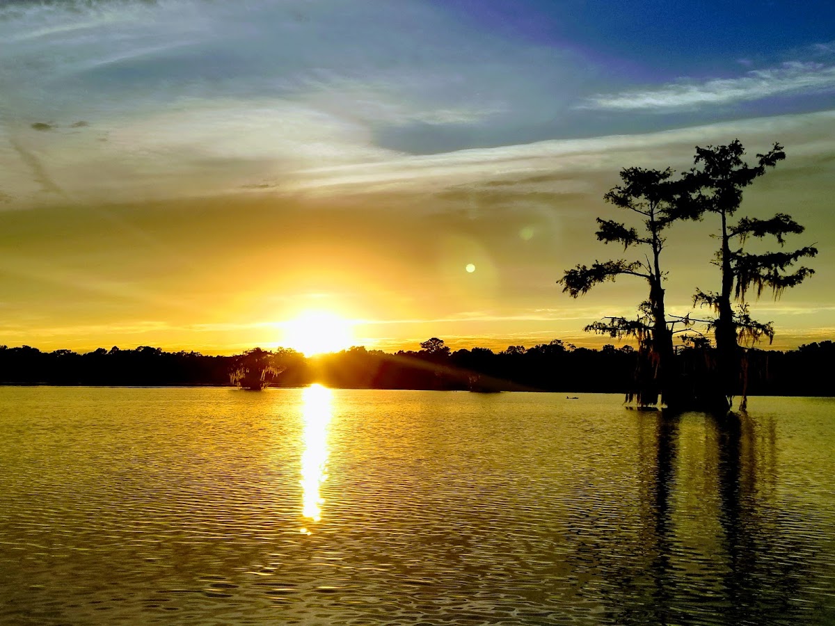 Gantt Lake