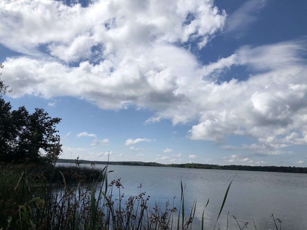 Belcourt Lake