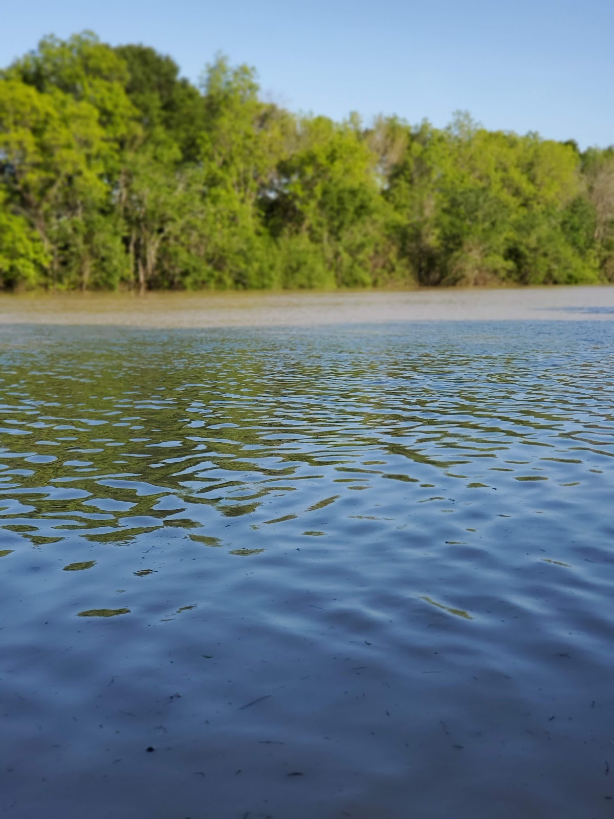 Tensas River