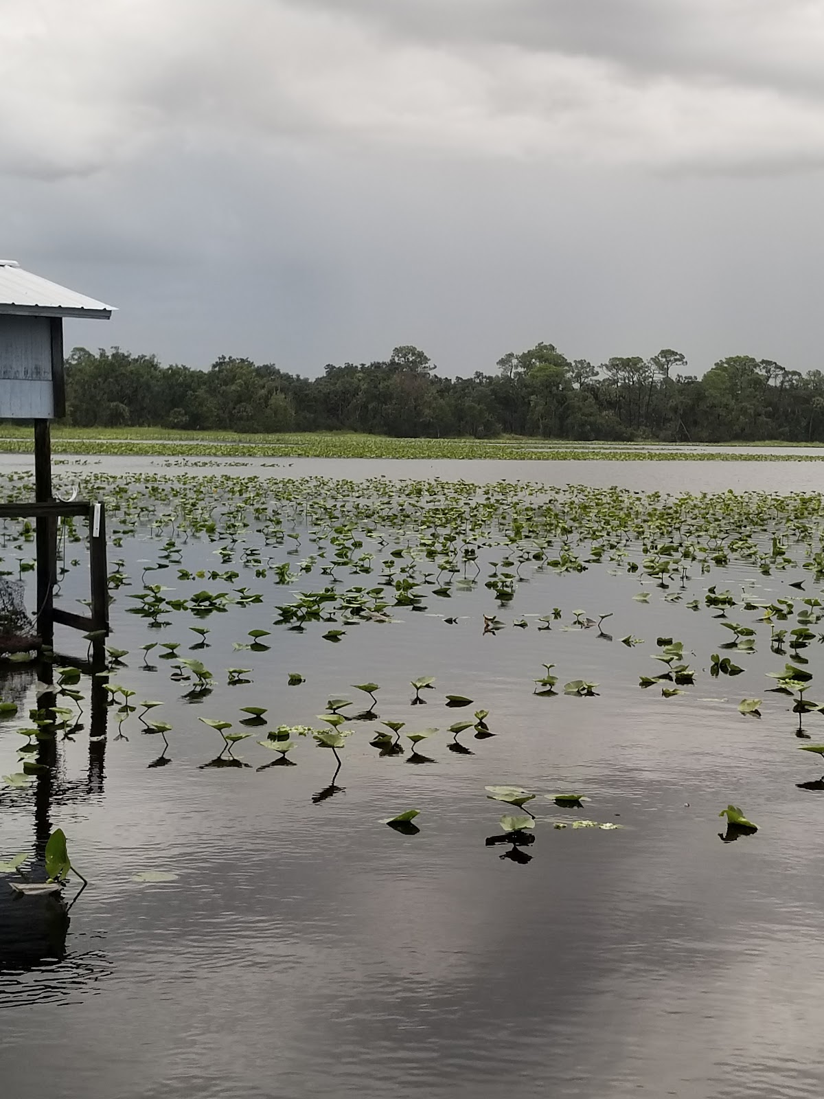 Lake Josephine