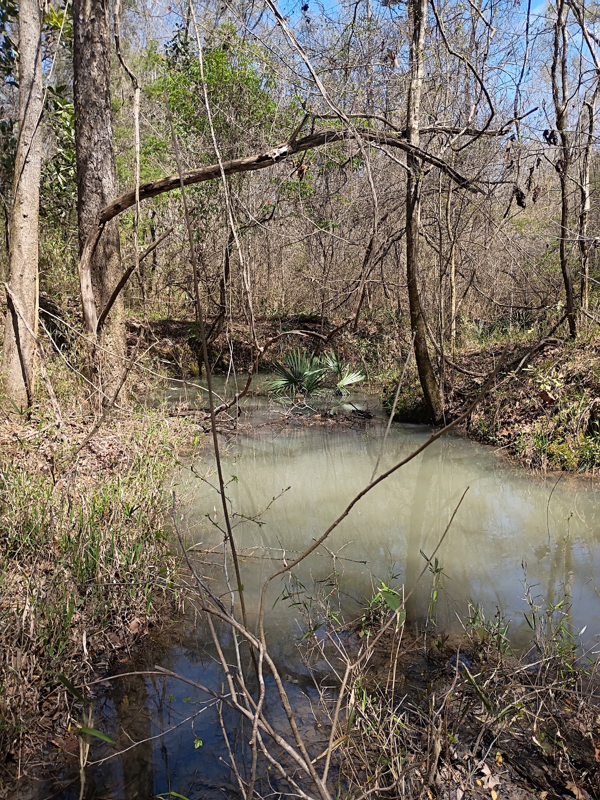 Omussee Creek
