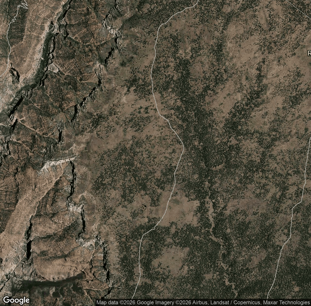Komo Point Fire Road