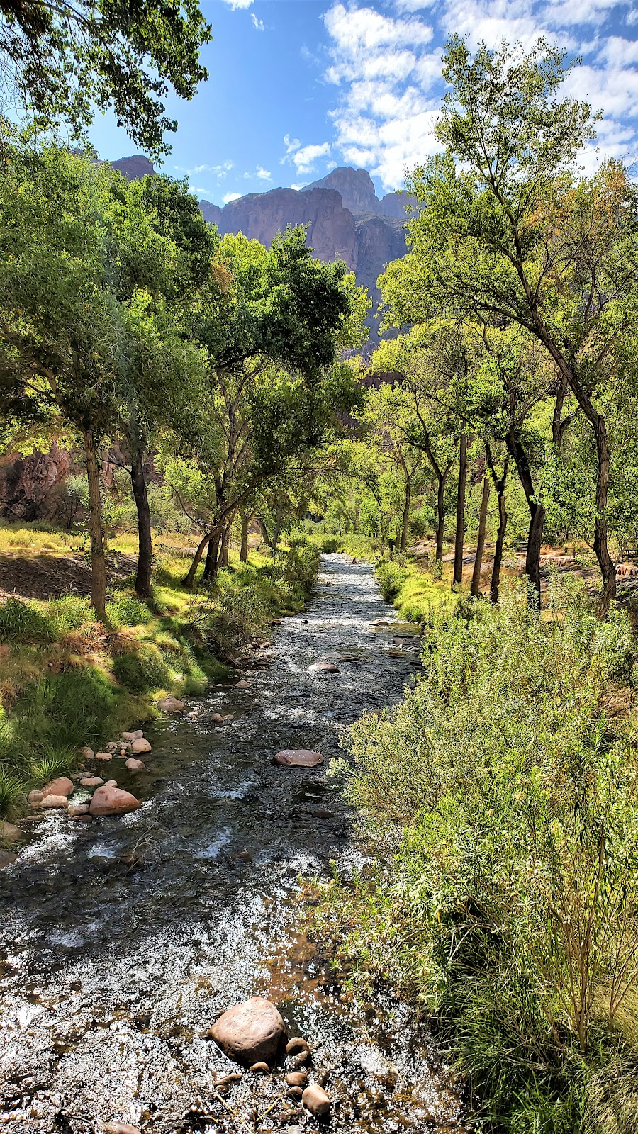 Bright Angel Creek