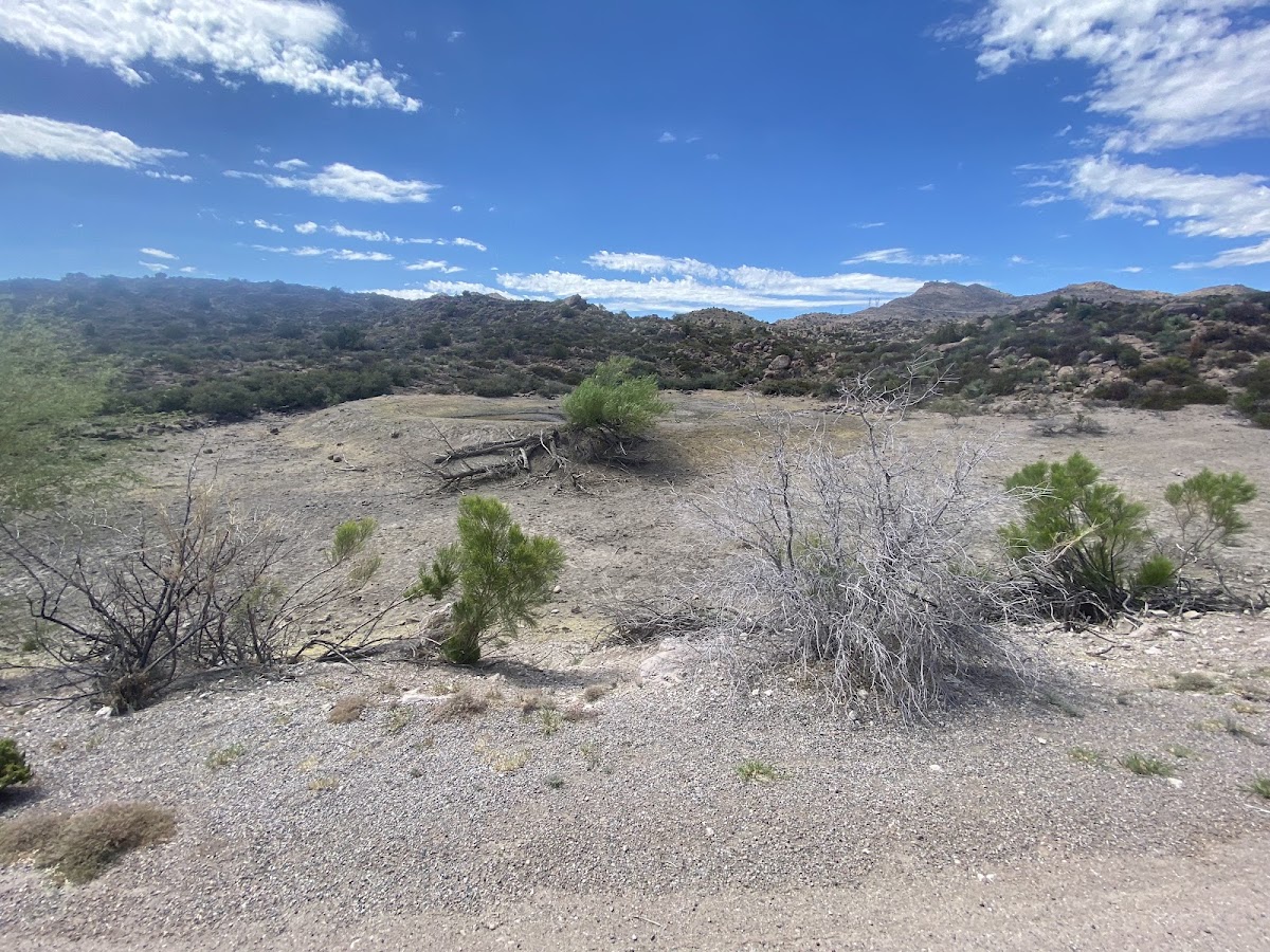 Pinto Creek