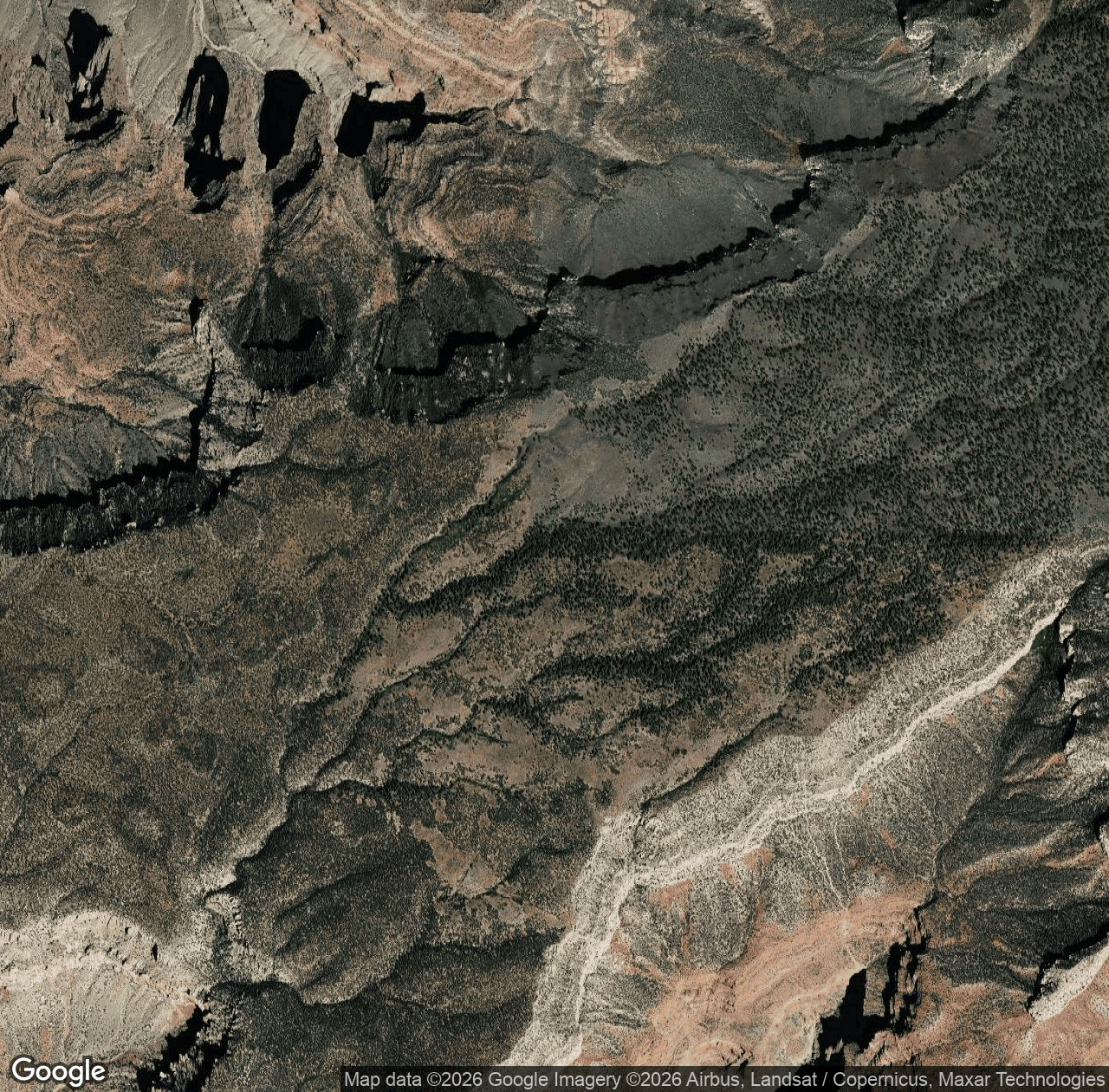 Blacktail Valley