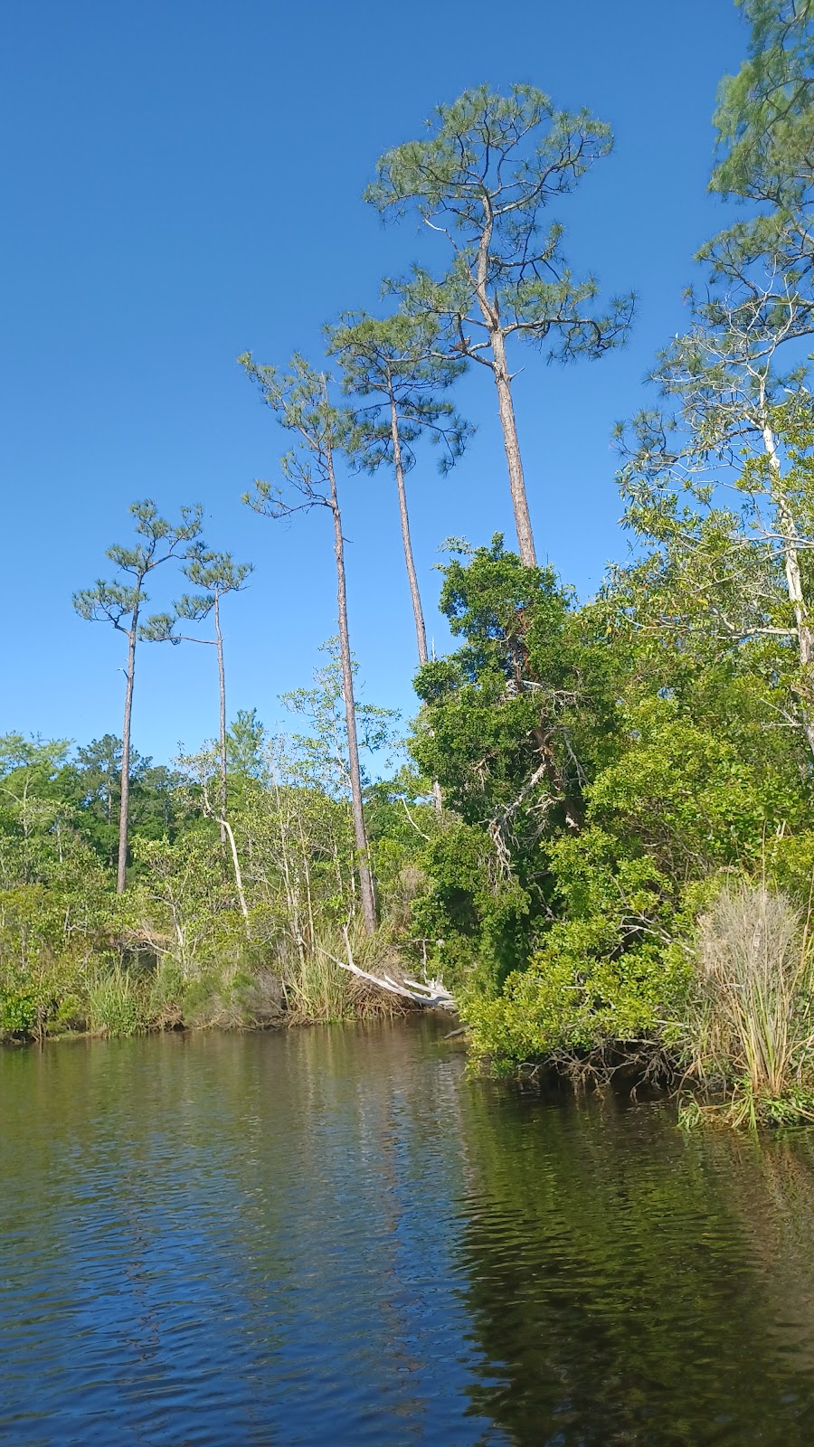 Fowl River