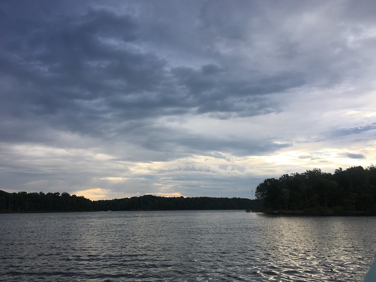Fellows Lake