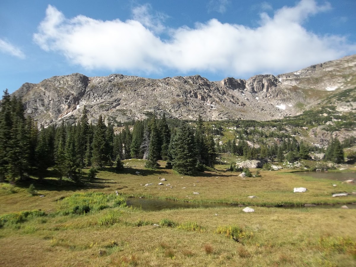Tonahutu Creek Trail
