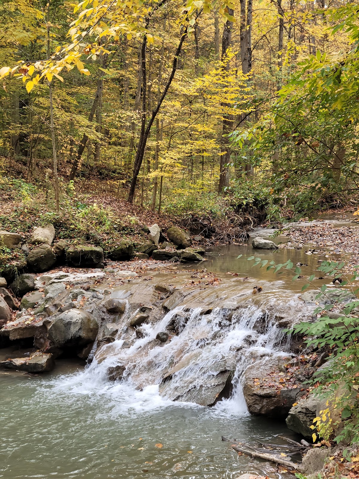 Sand Run Metro Park