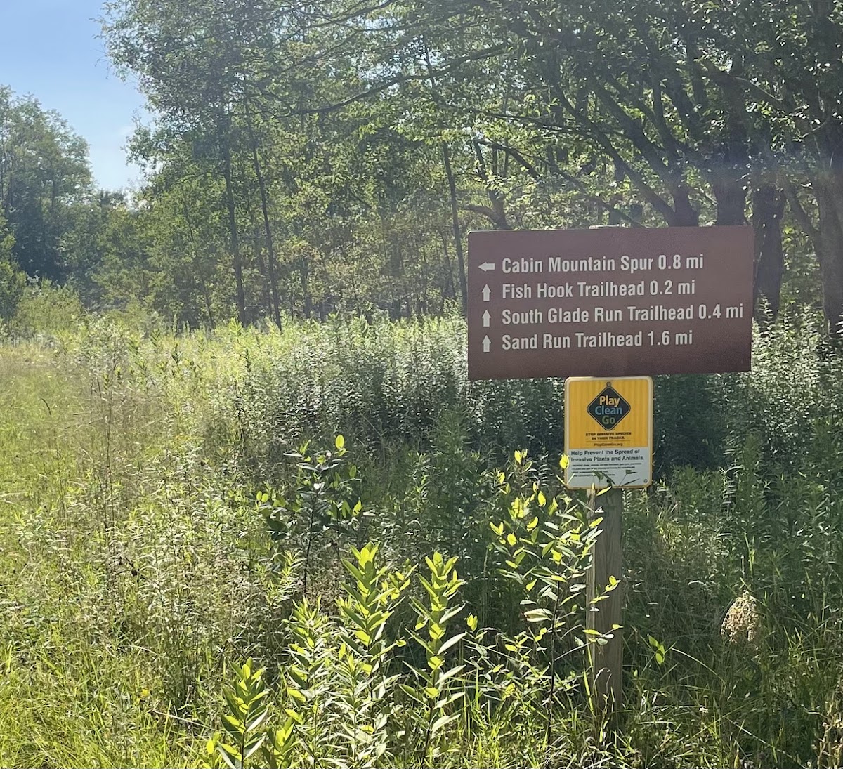 Cabin Mountain Trail