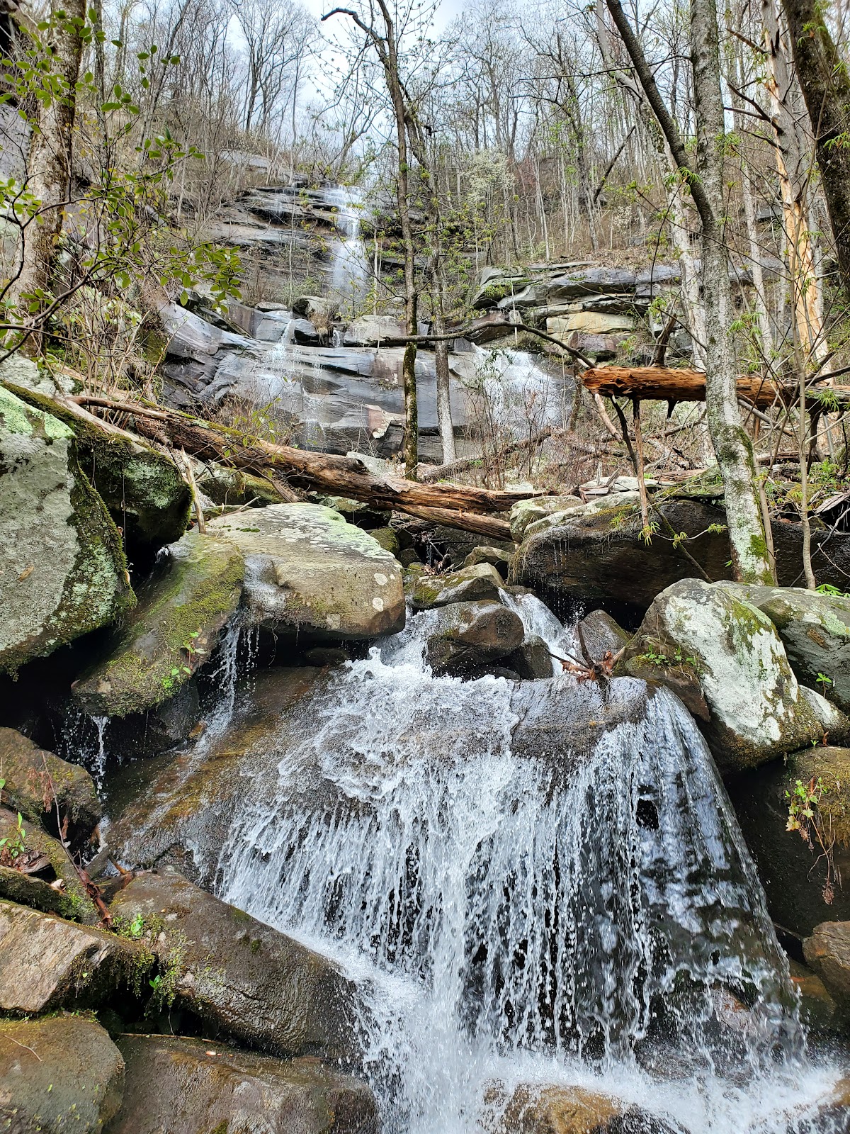Pinnacle Pass Trail