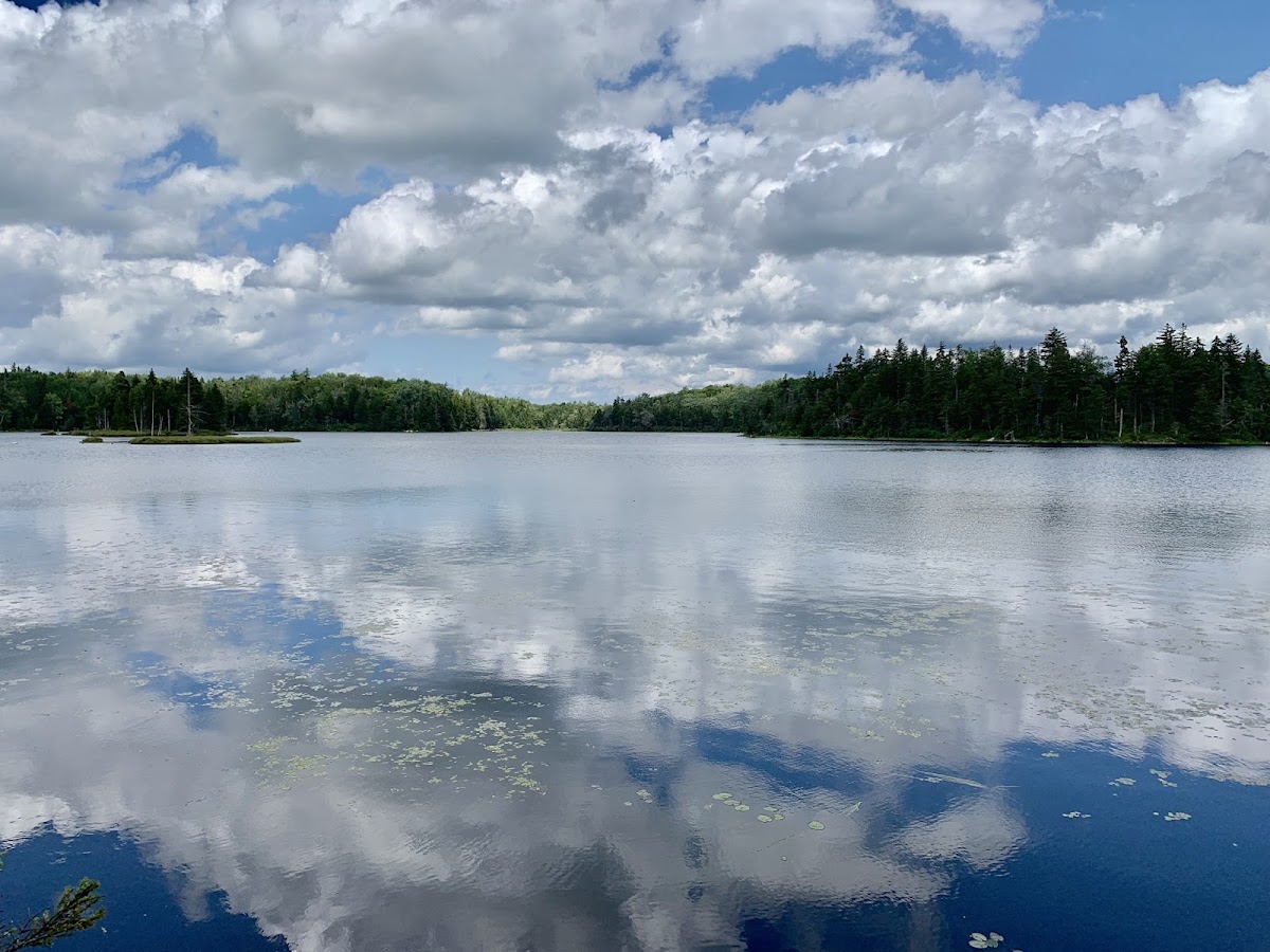 Bourne Pond