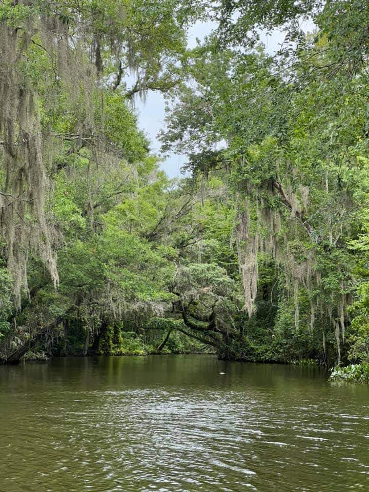 Lake Harris