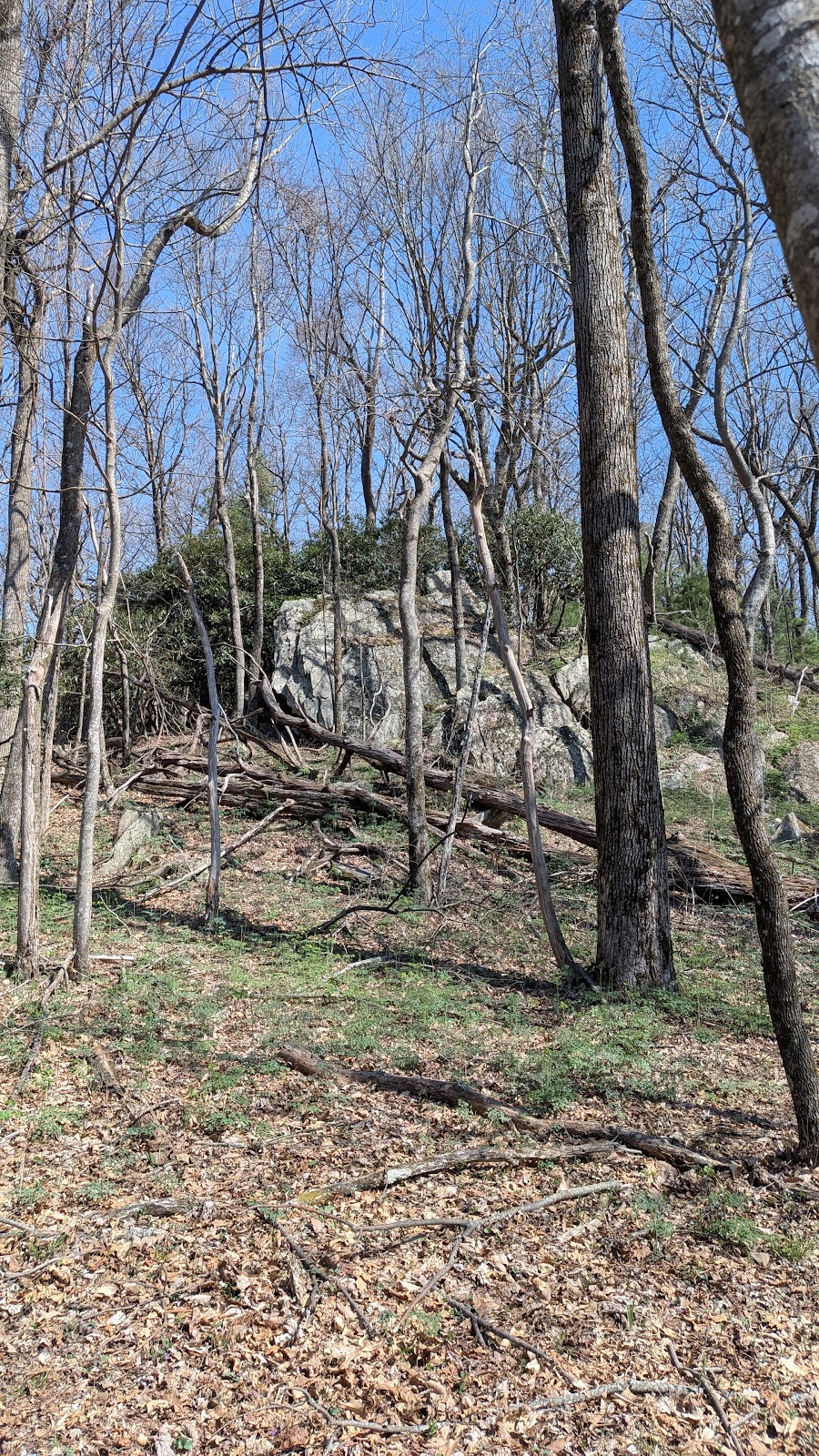 Cedar Ridge Trail