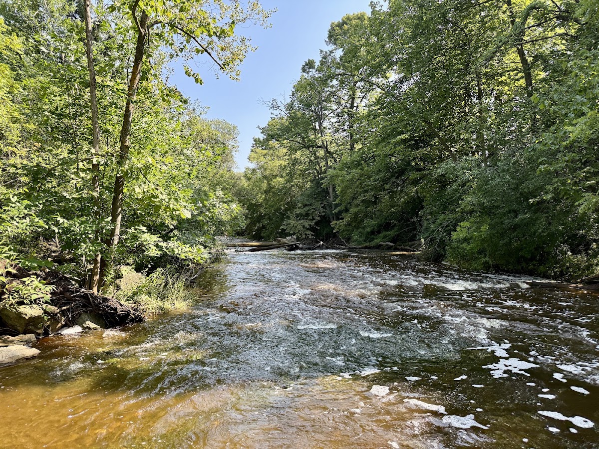 Sauk Creek
