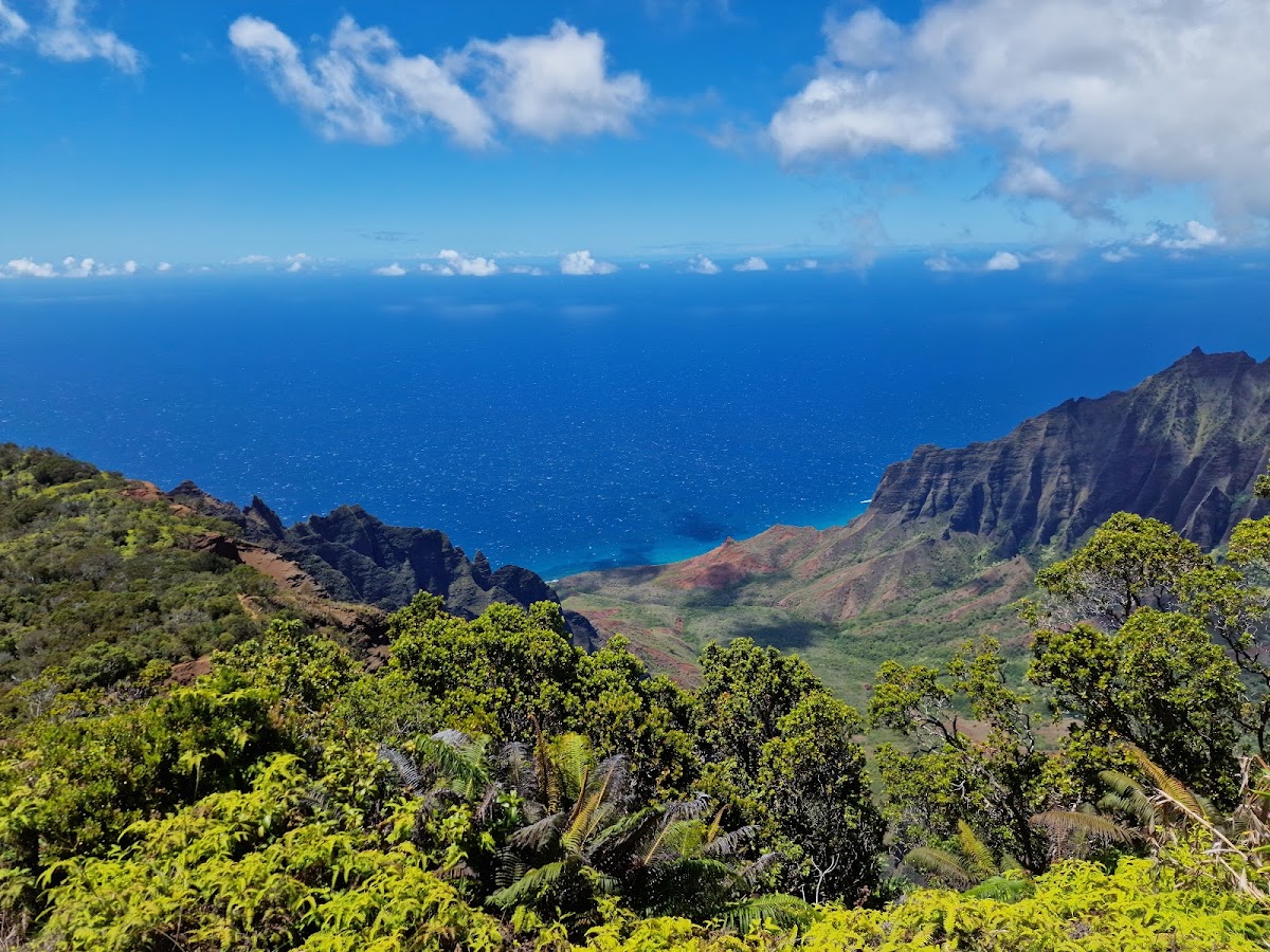 Kaluapuhi Trail