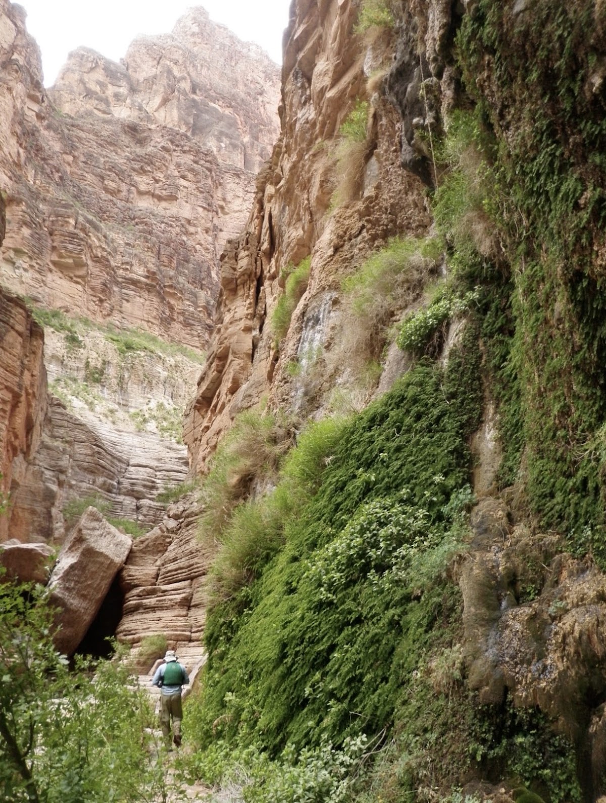 Fern Glen Canyon