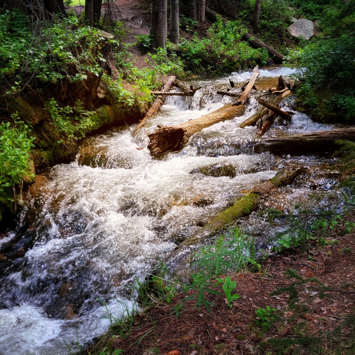 Hidden Valley Creek