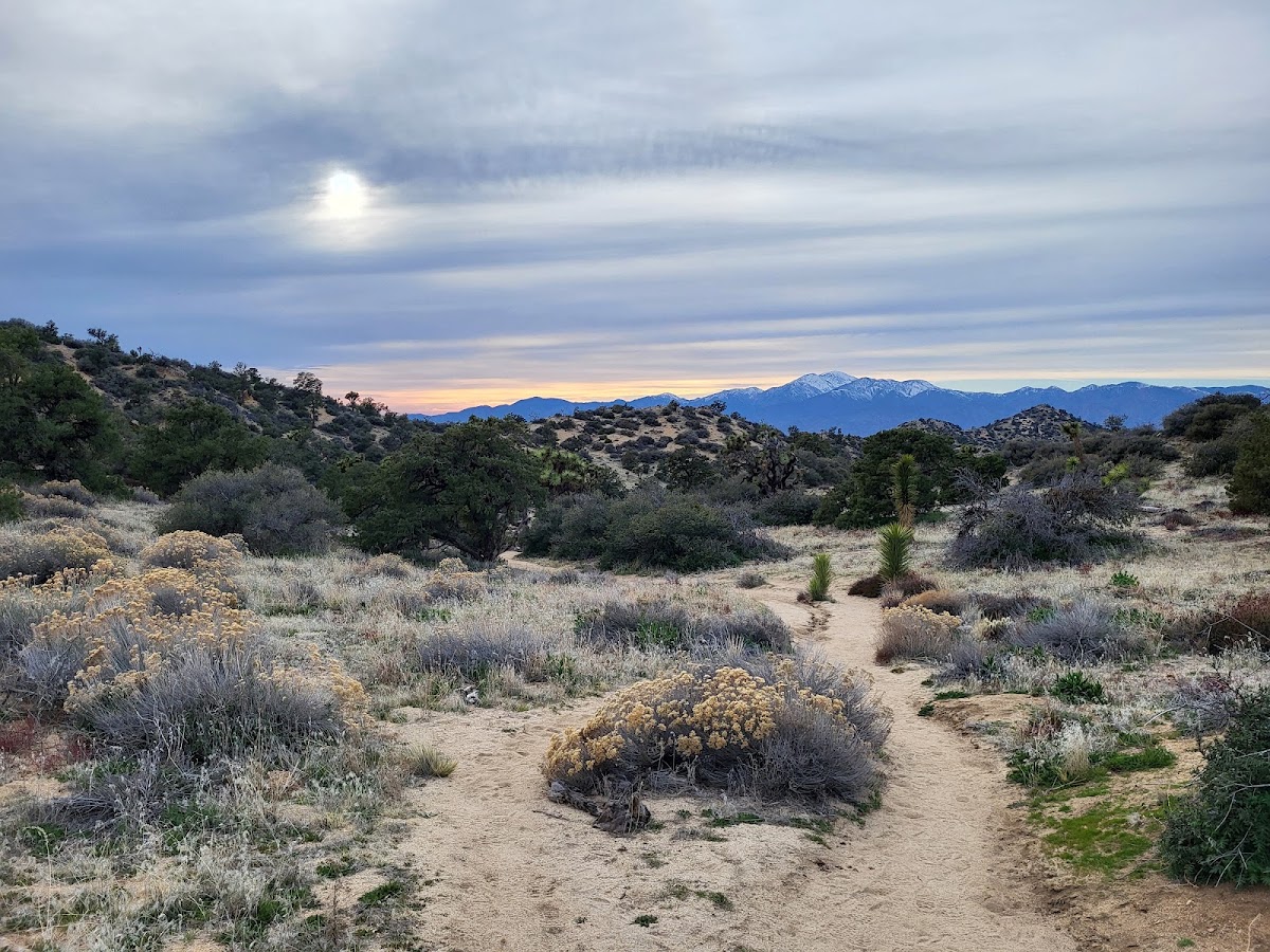 Black Rock Canyon Trail