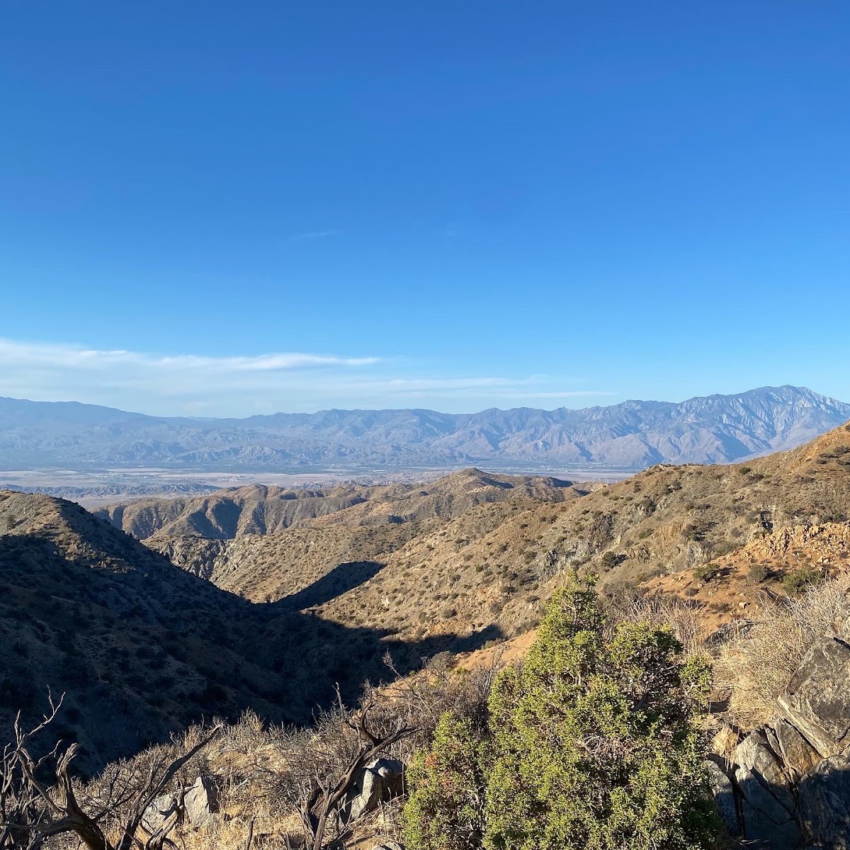 Covington Crest Trail
