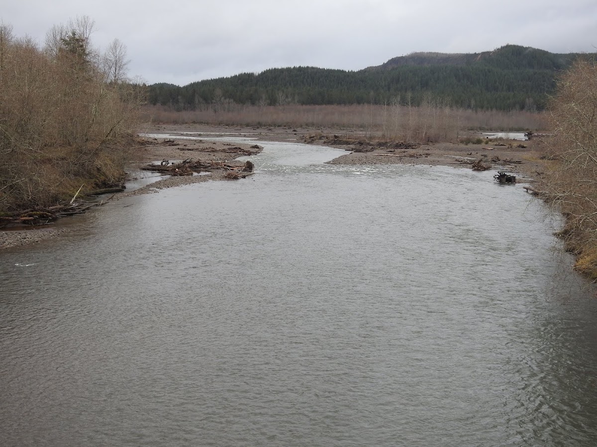 South Fork Toutle River