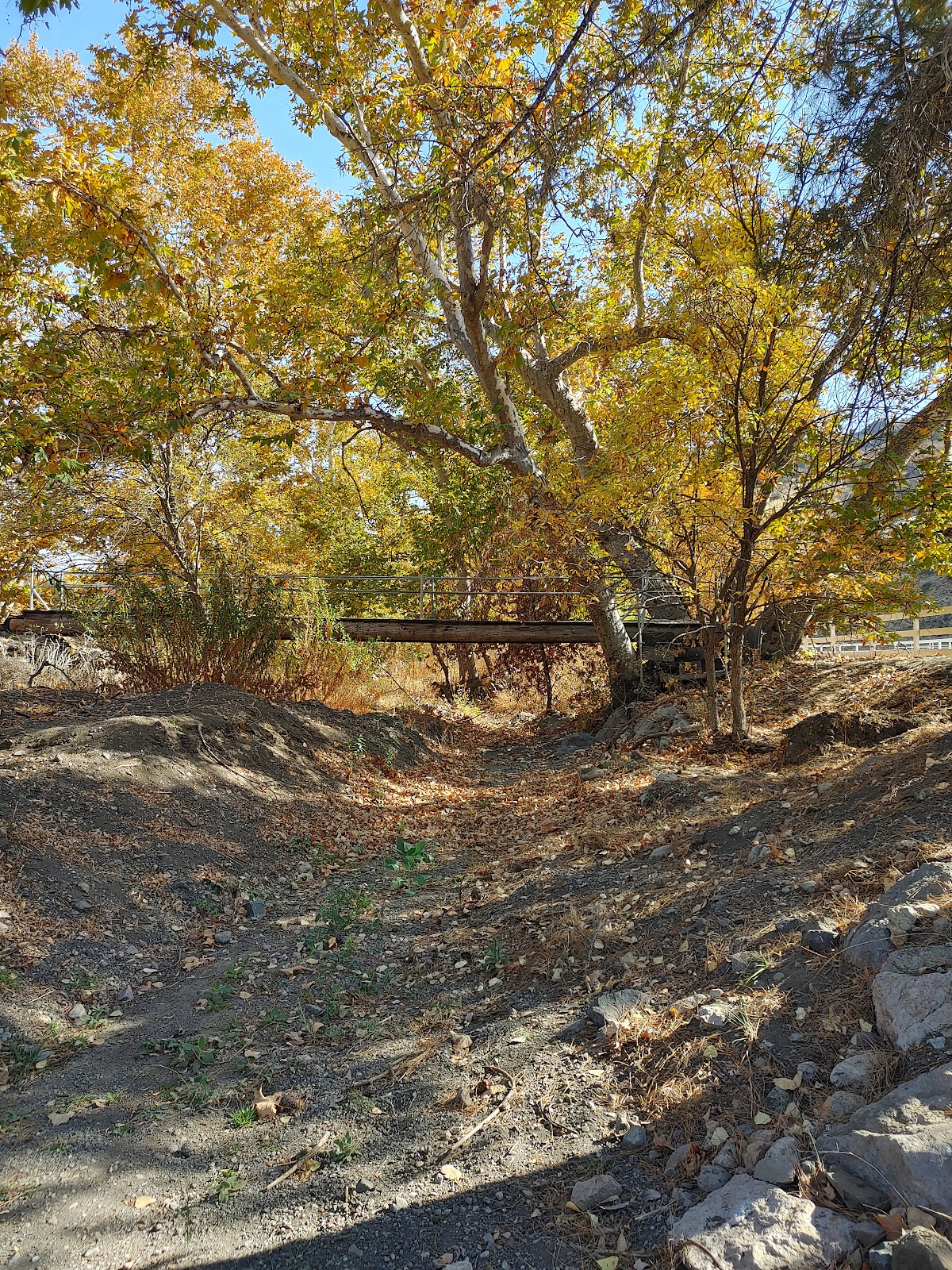 Lobo Canyon Road