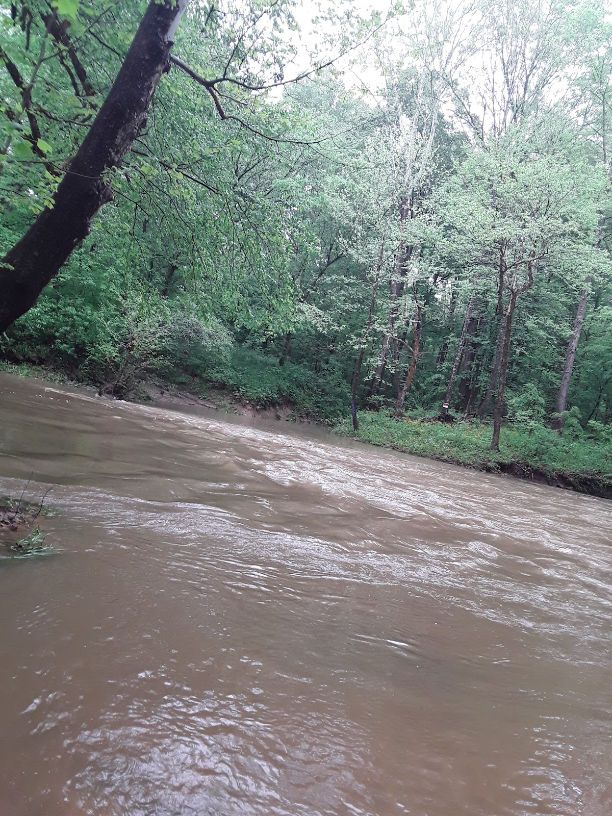 Lusk Creek