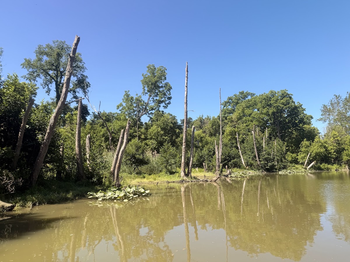Chagrin River