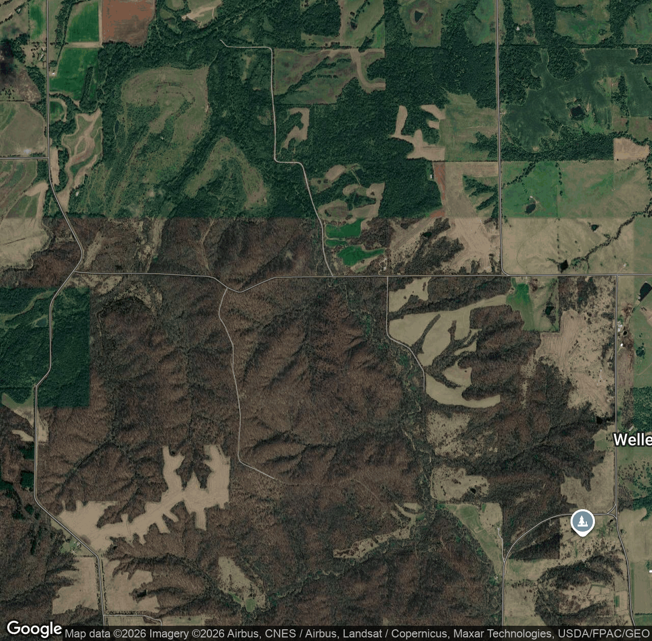 Stephens State Forest - Thousand Acre Unit