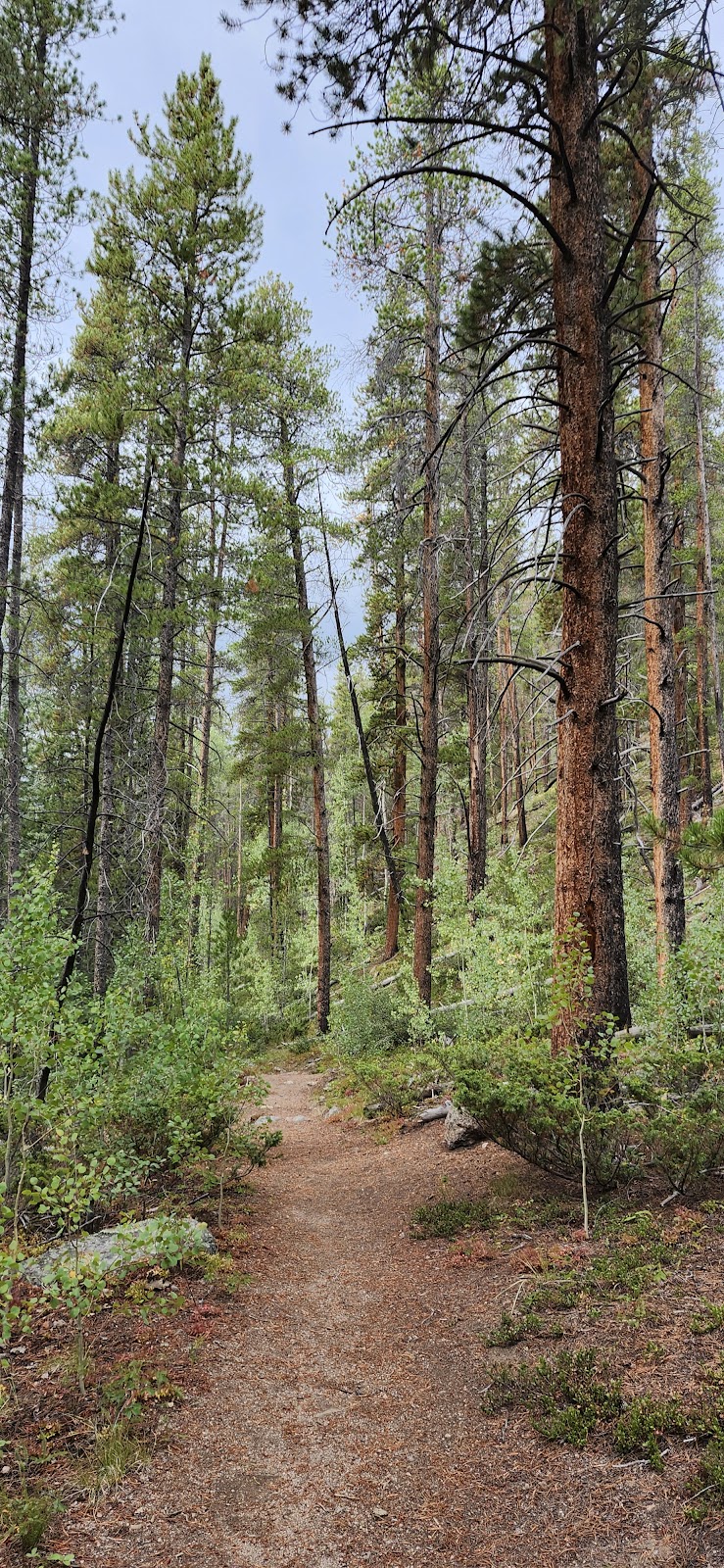 Summerville Trail