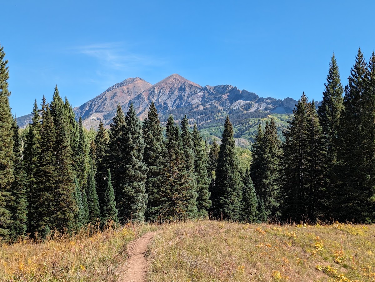 Through Line Trail 860