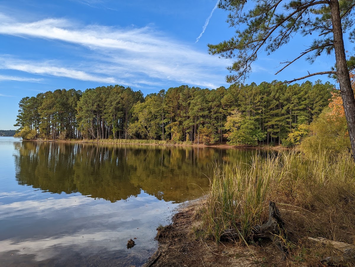 Harris Lake County Park