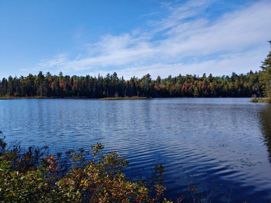 Angleworm Trail