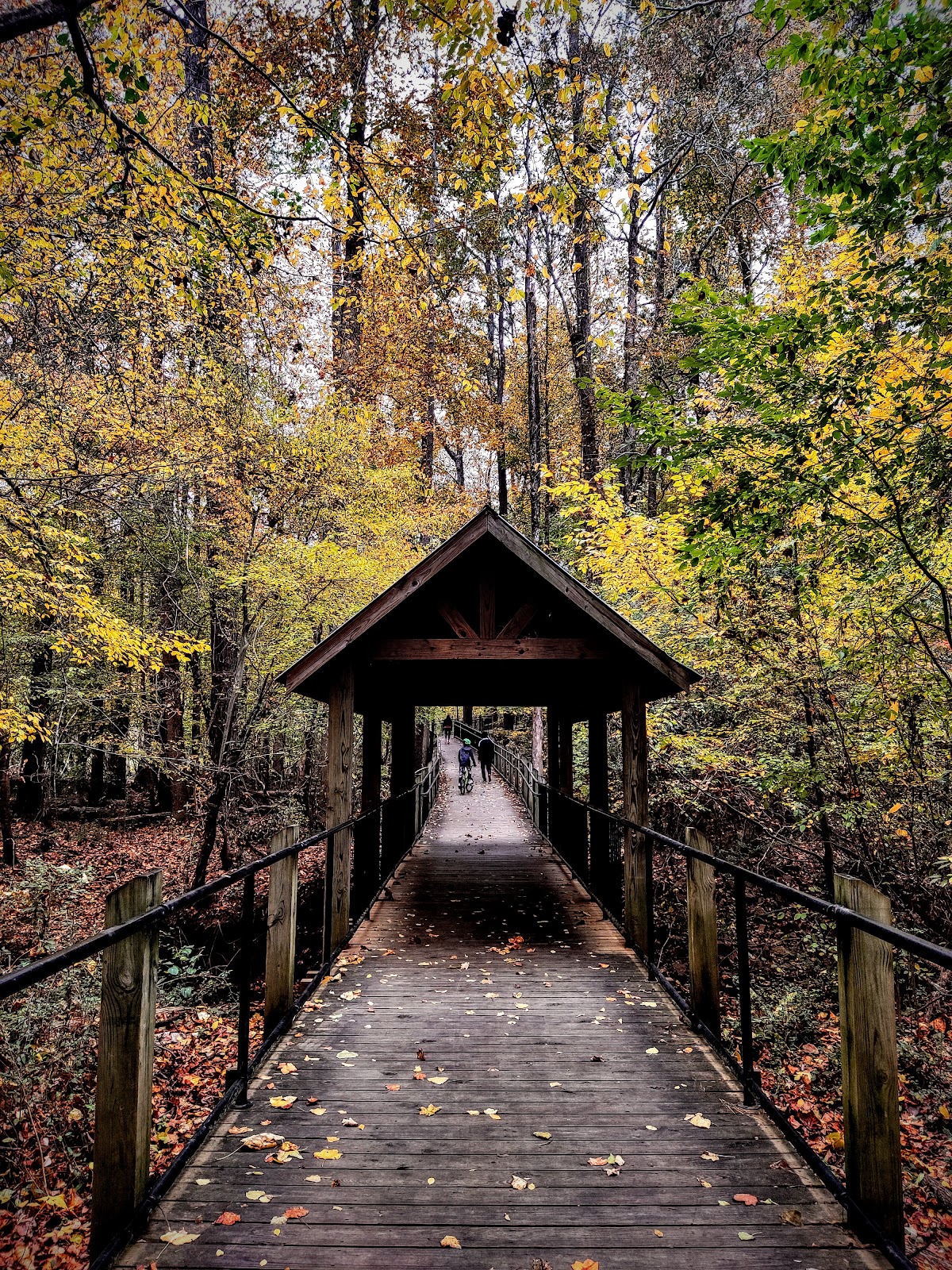 Suwanee Creek