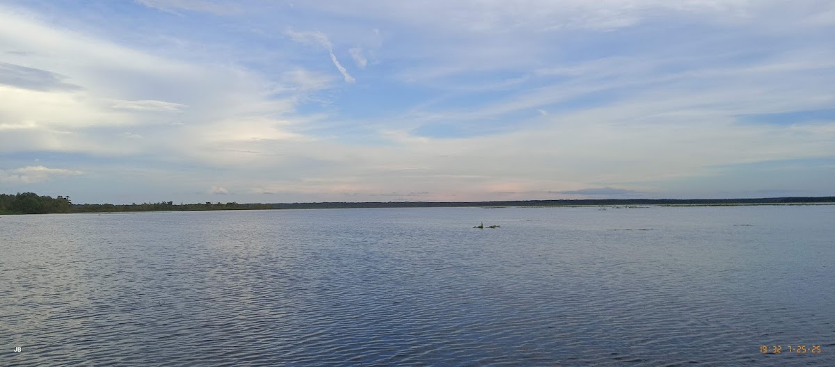 Lake Miccosukee