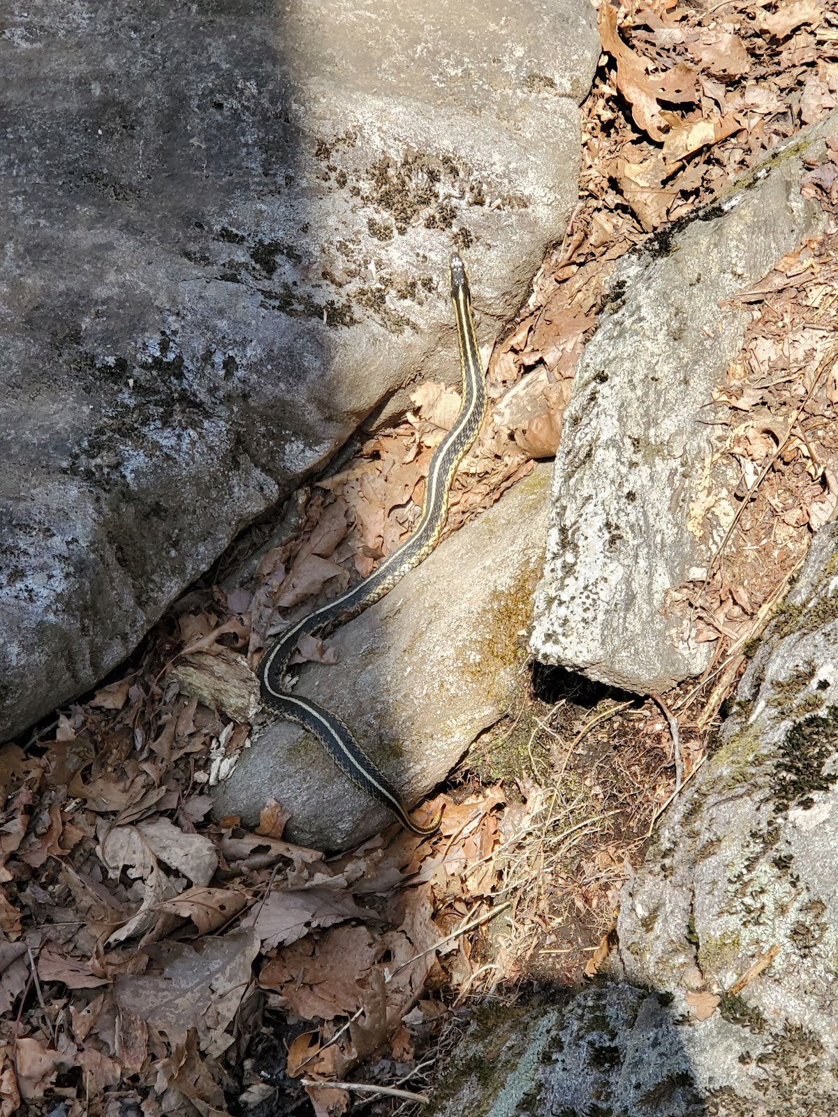 Blood Mountain Creek