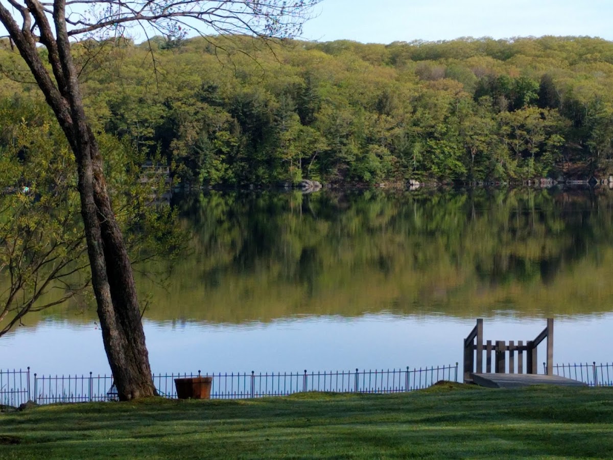 Upper Goose Pond