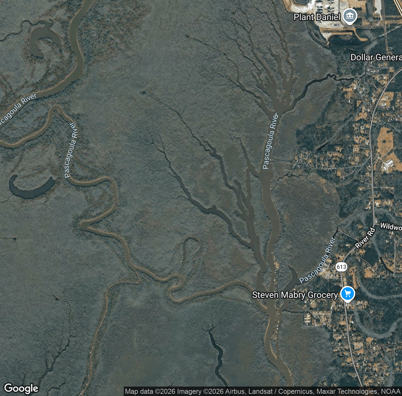 Fishing Bayou
