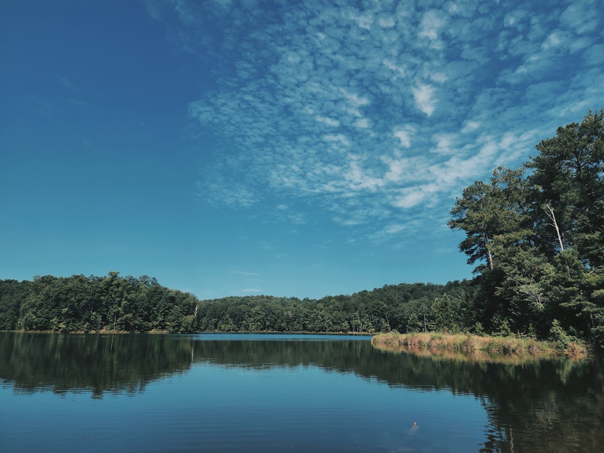 Dog River Reservoir