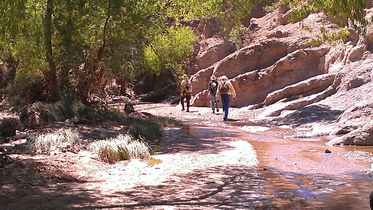 Cienega Creek