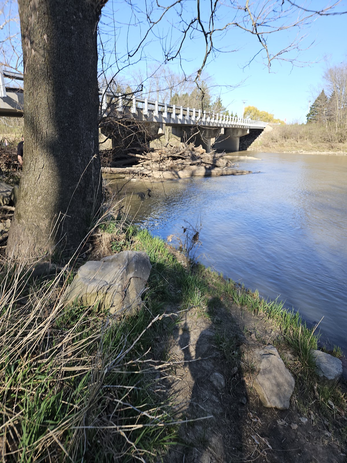 Portage River North Branch